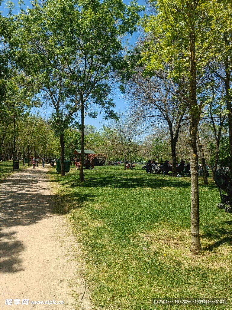 春日公园的静谧林荫小道