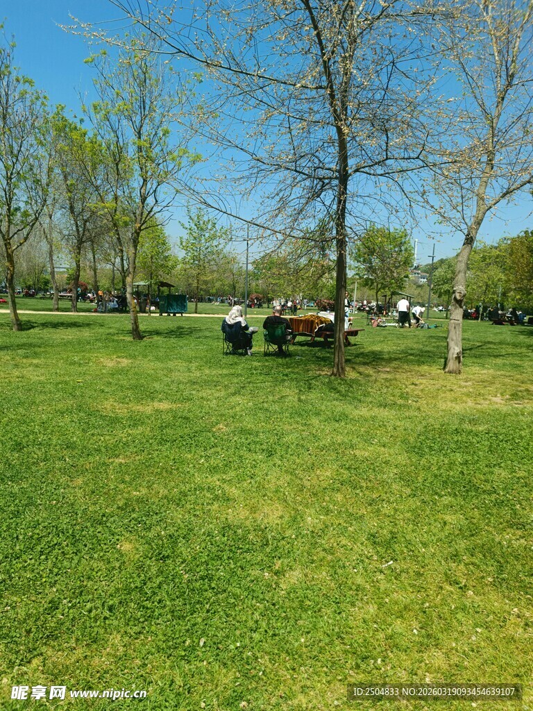 公园草地休闲场景