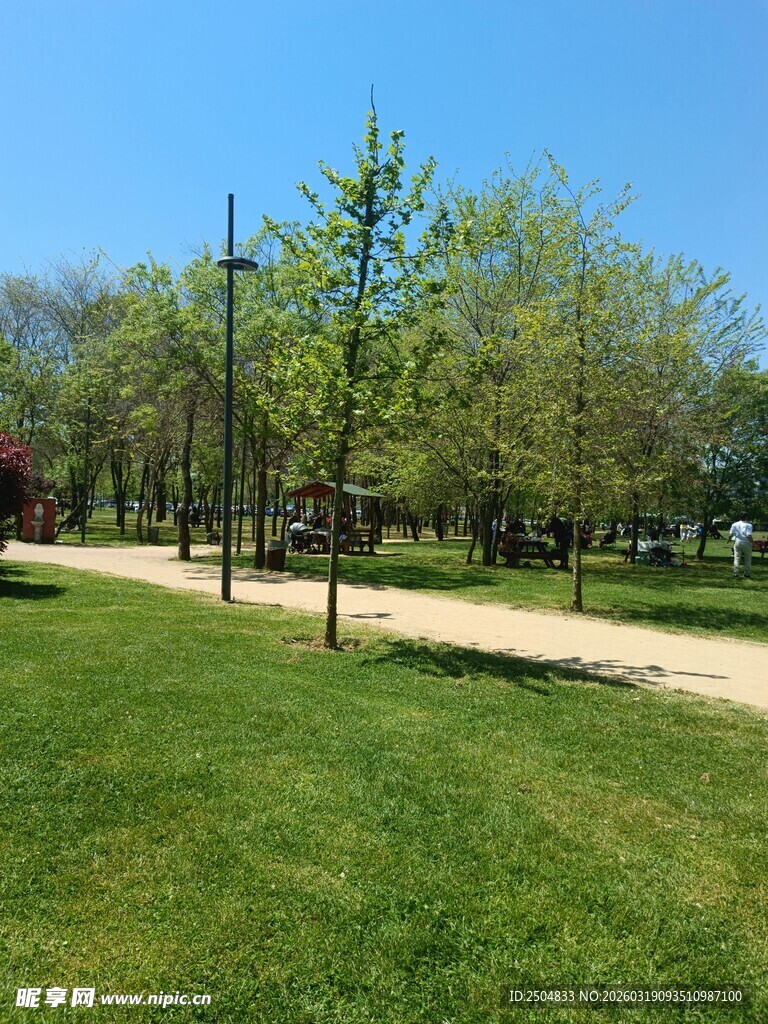 公园绿意盎然的休闲小径