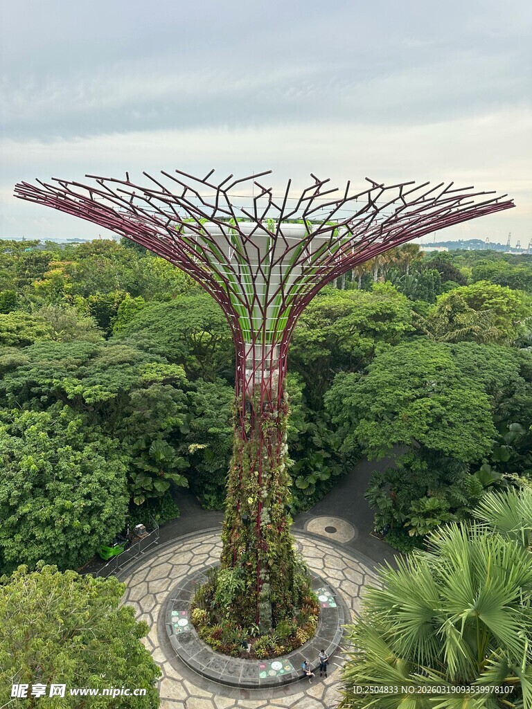 新加坡超级树景观