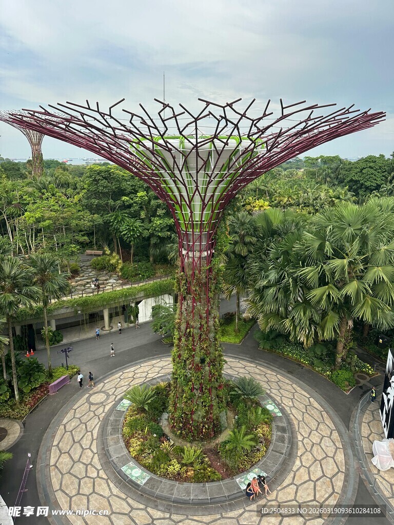 新加坡超级树景观