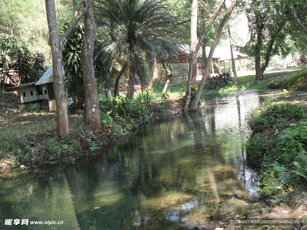 静谧林间溪流景观