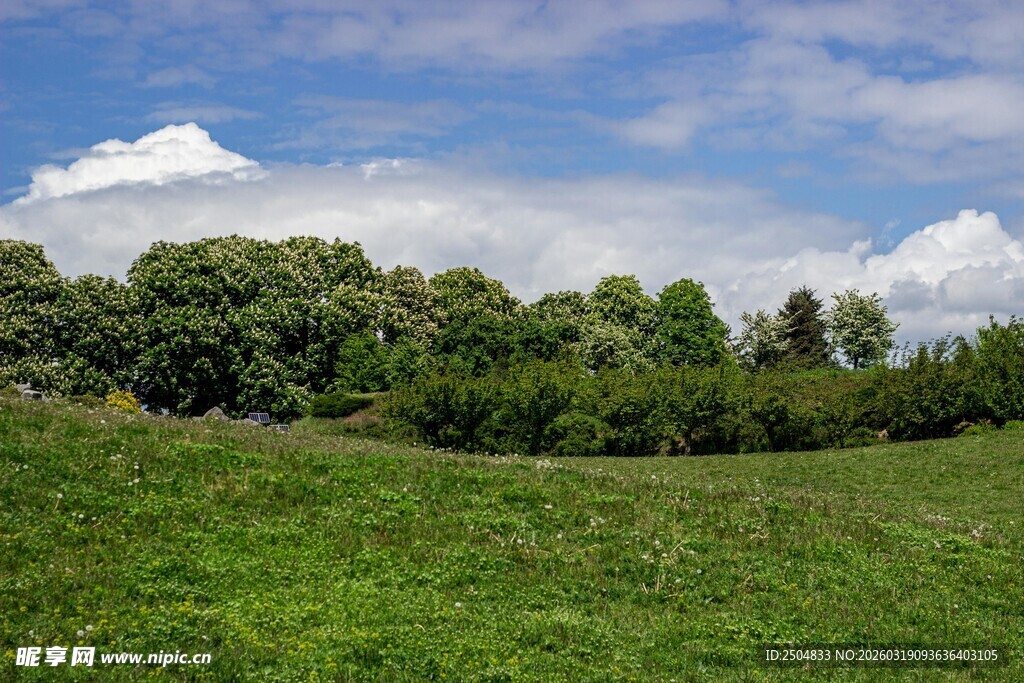 广袤绿野与葱郁树林景观