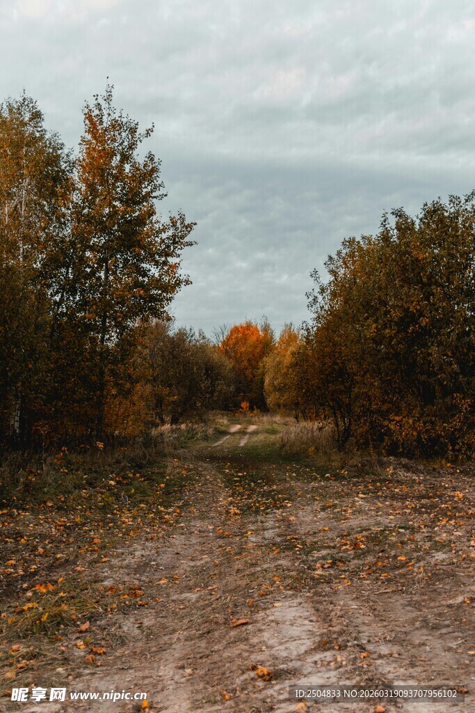 秋日荒野土路风景
