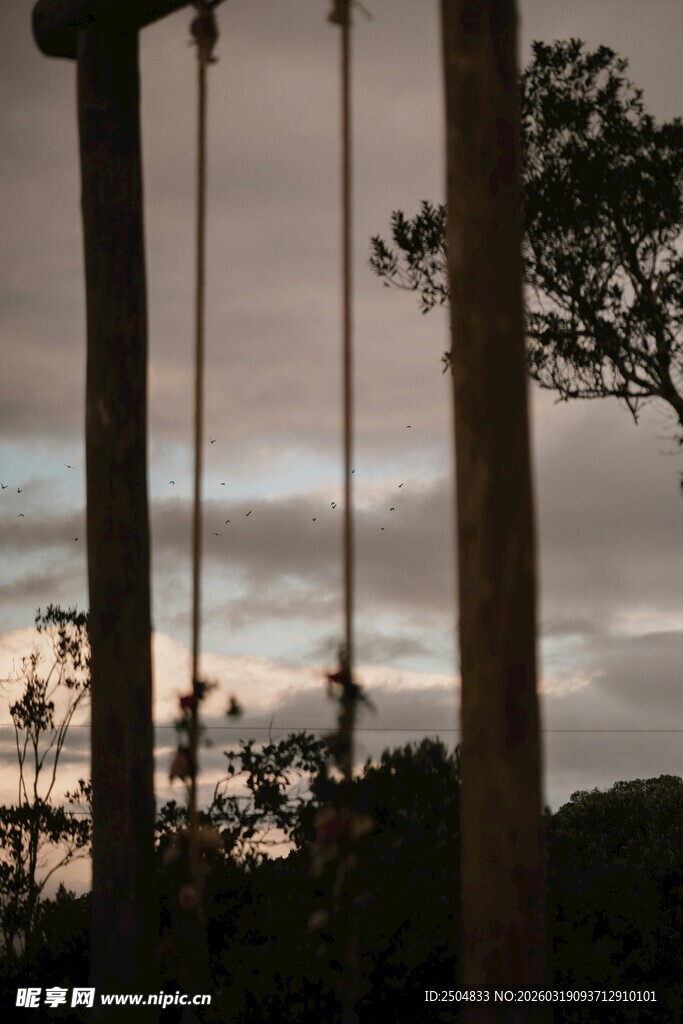 黄昏下的林间悬挂设施