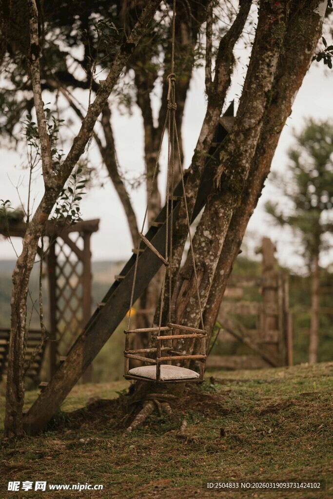 树下秋千 静谧户外小景