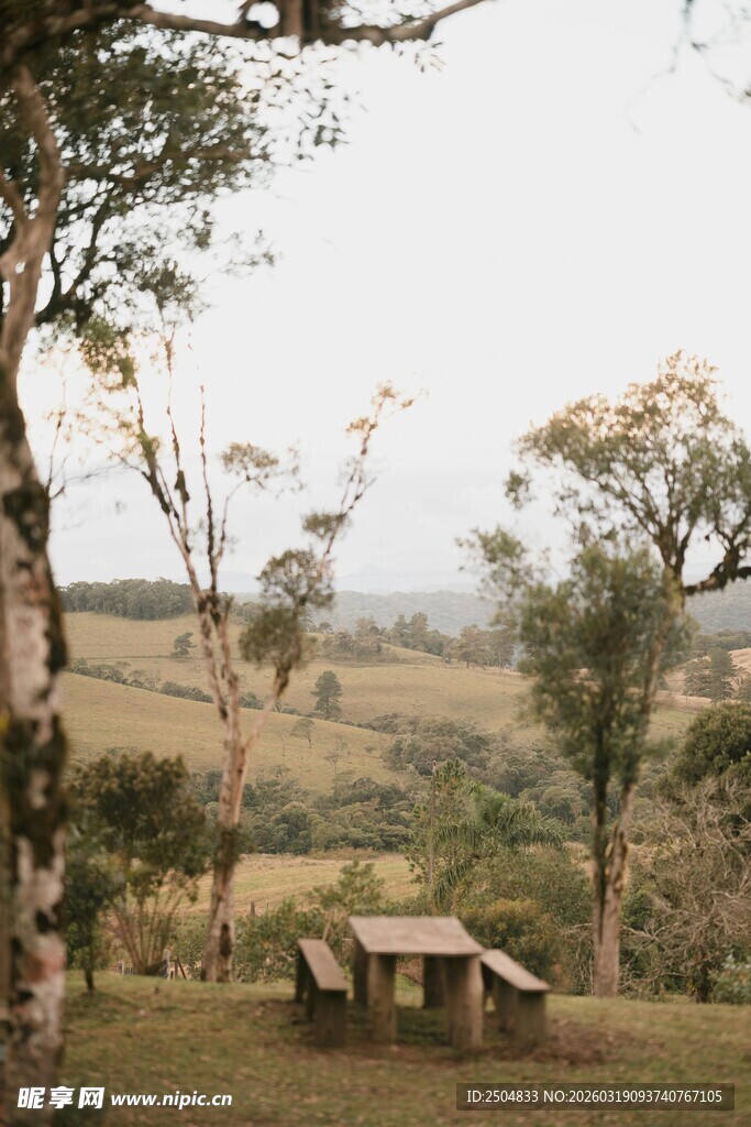 户外林间休闲桌椅场景