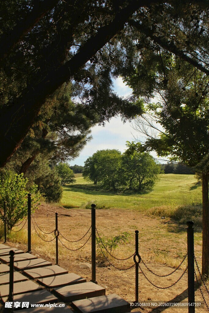 林间木栈道旁的开阔草地