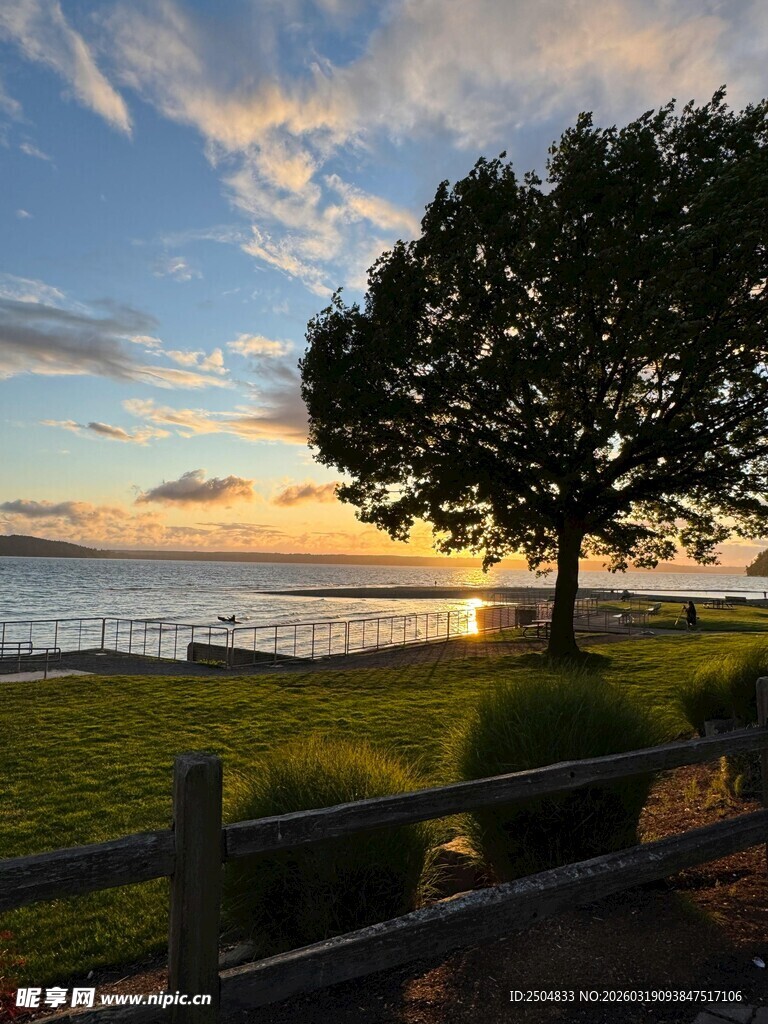 湖畔孤树伴绝美日落景色