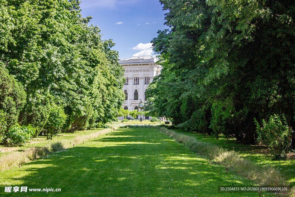 绿树环绕的开阔美丽庭院