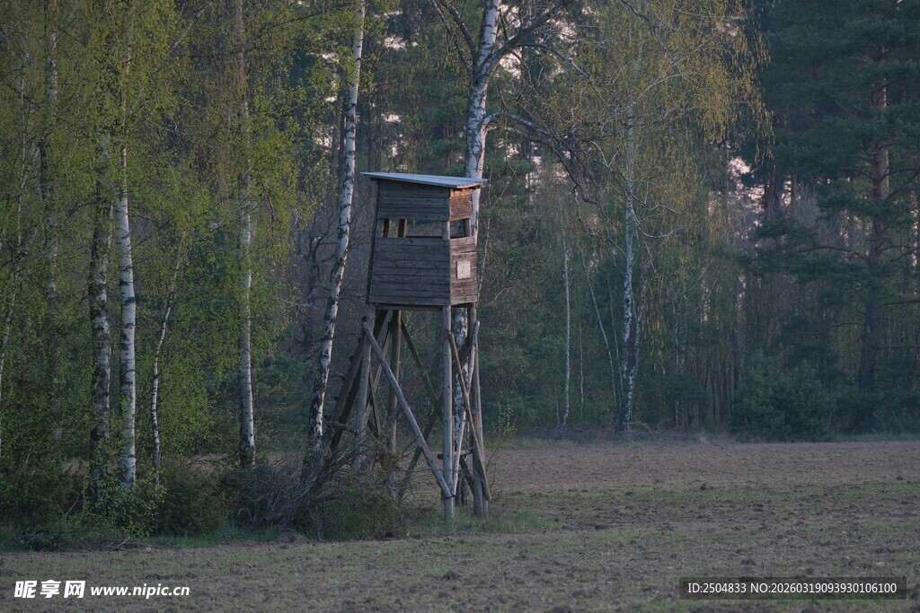林中树顶狩猎瞭望台