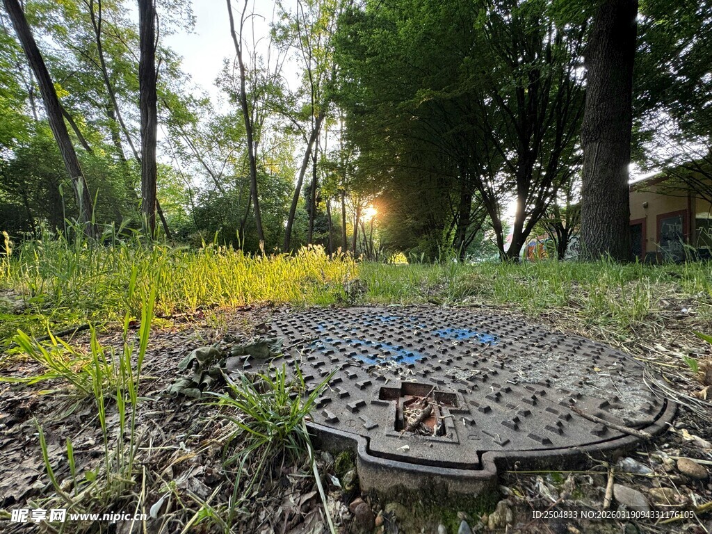 林间井盖处的自然景致