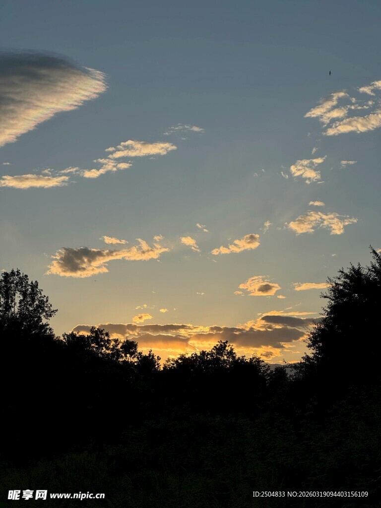 黄昏时分的天空与树林