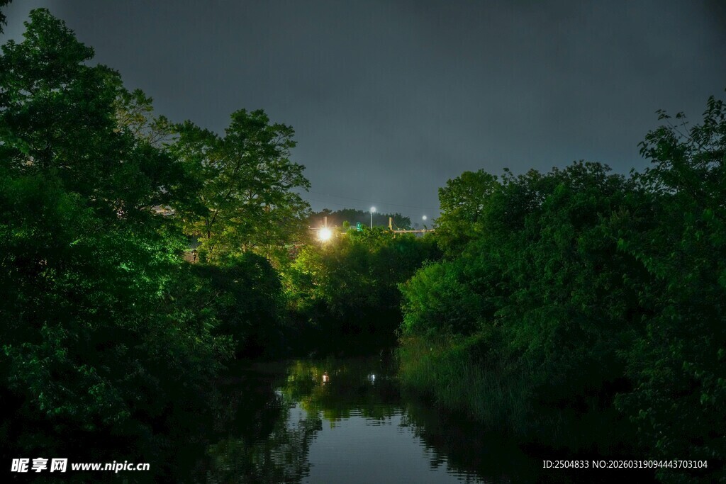 夜晚河畔葱郁树林景观