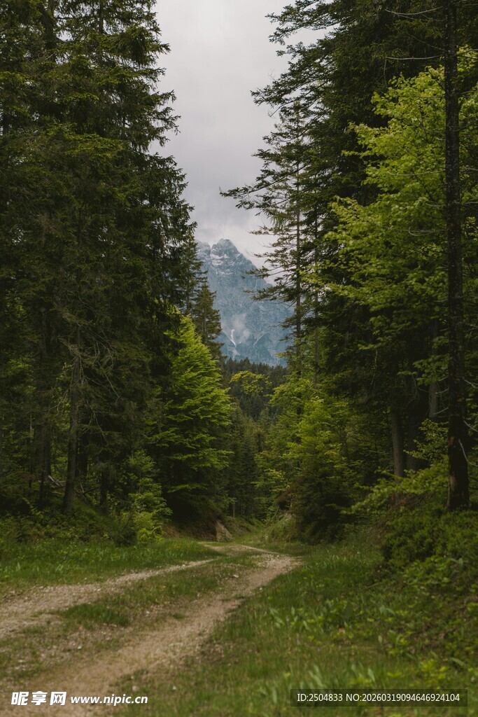山间小径 绿意盎然的风景