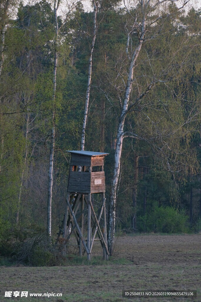 野外狩猎瞭望塔