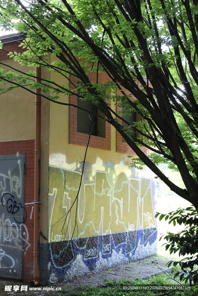 乡村小屋旁的葱郁绿植