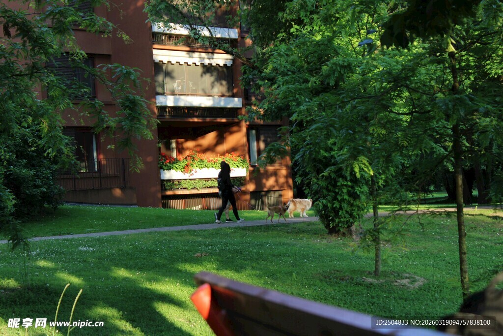 庭院中的绿植与建筑景观