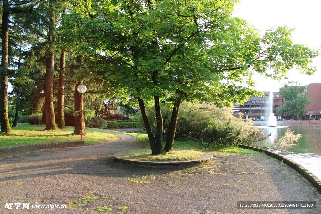 公园中的绿树与蜿蜒小径