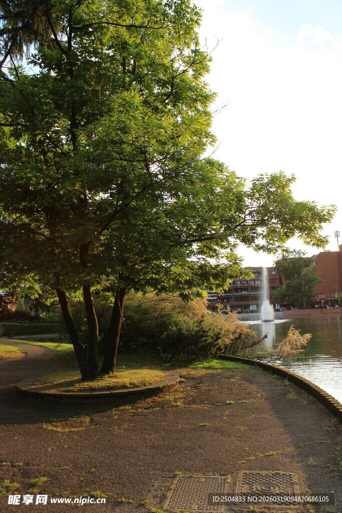 公园林荫步道与喷泉景观