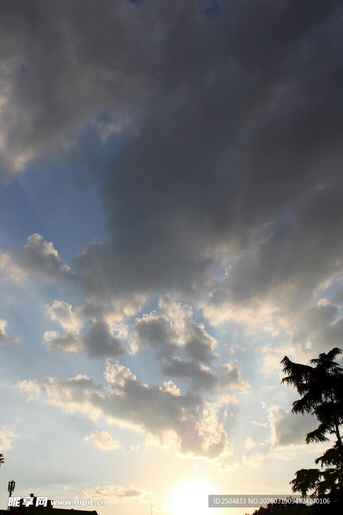 夕阳下的天空与树梢美景