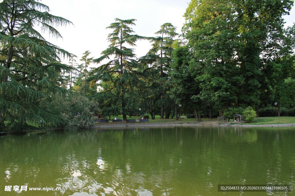 湖畔绿树环绕的宁静景致