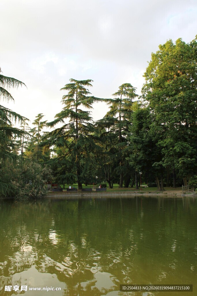 湖畔绿树倒影风景如画