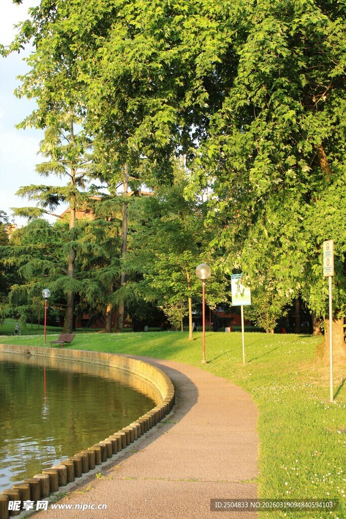 公园湖畔绿荫小径美景