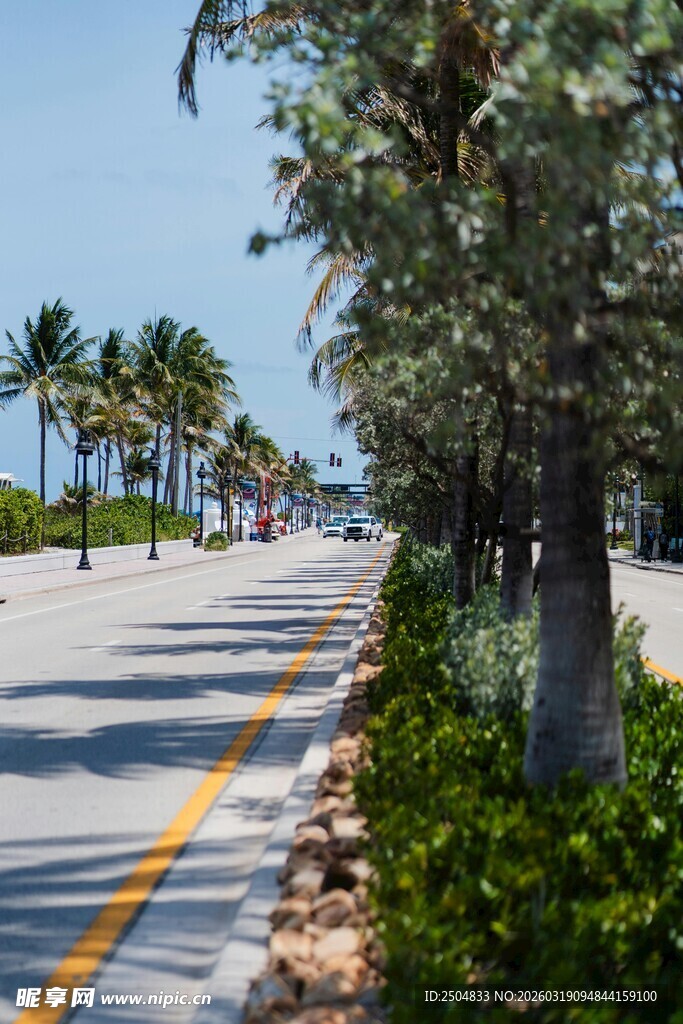 海滨林荫道风景