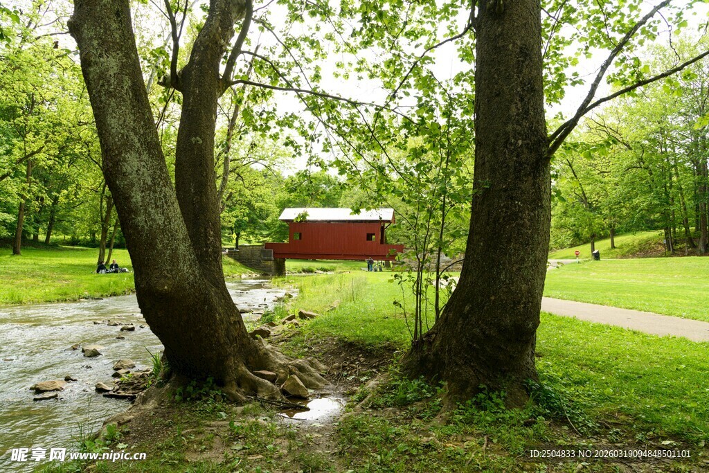 乡村林间红屋风景