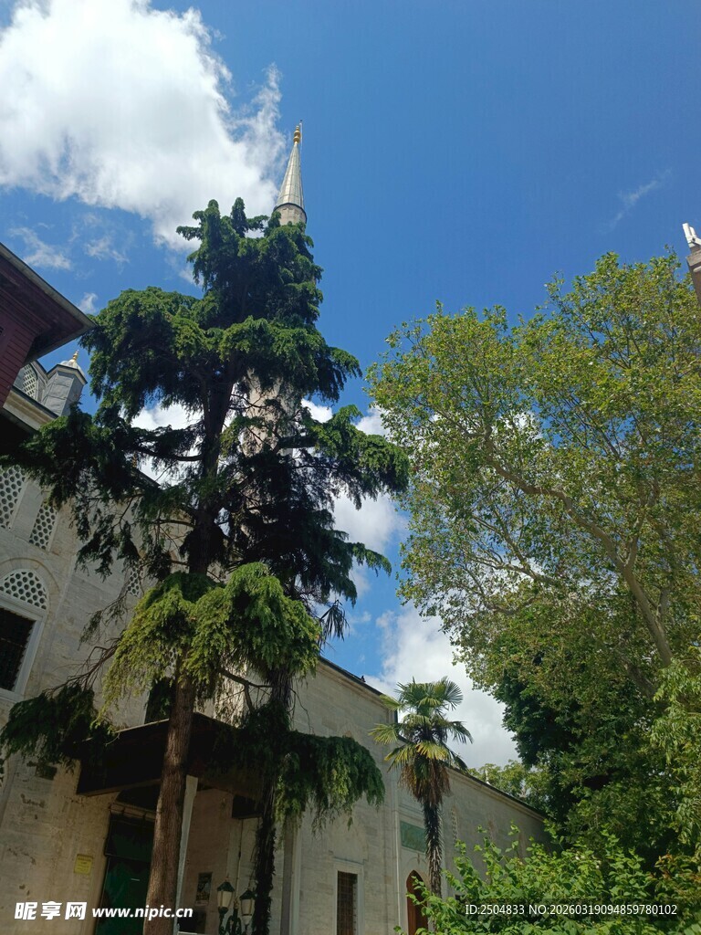 庭院绿树与蓝天白云