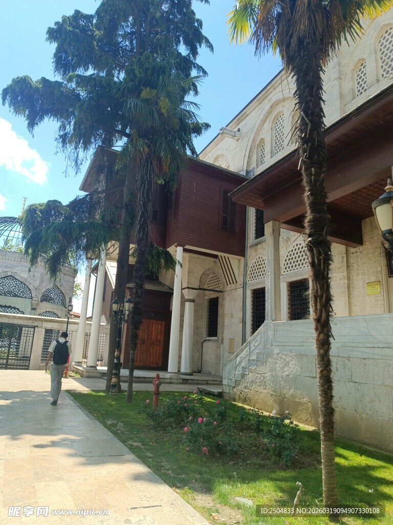 古典建筑旁的葱郁树木