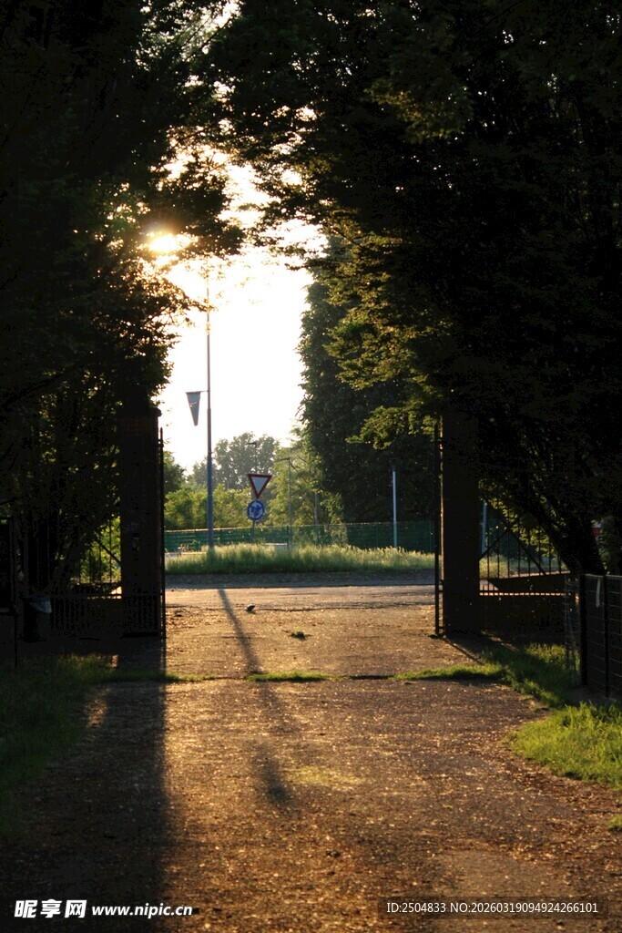 林间小道的温暖阳光时刻