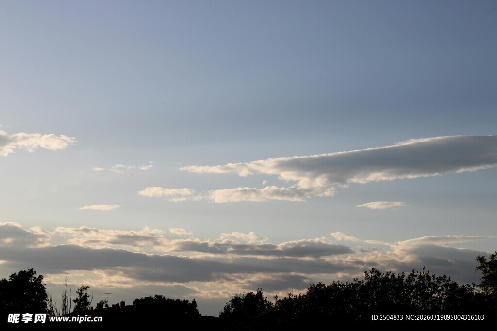 黄昏时分的天空与树林