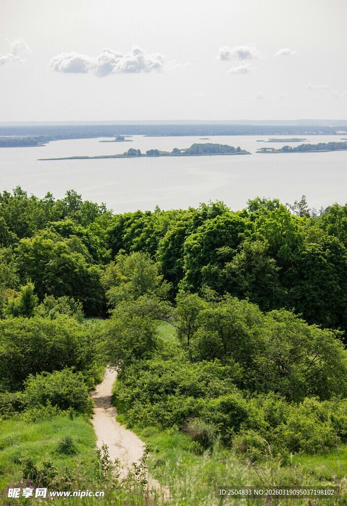 林间小径通向远方湖景