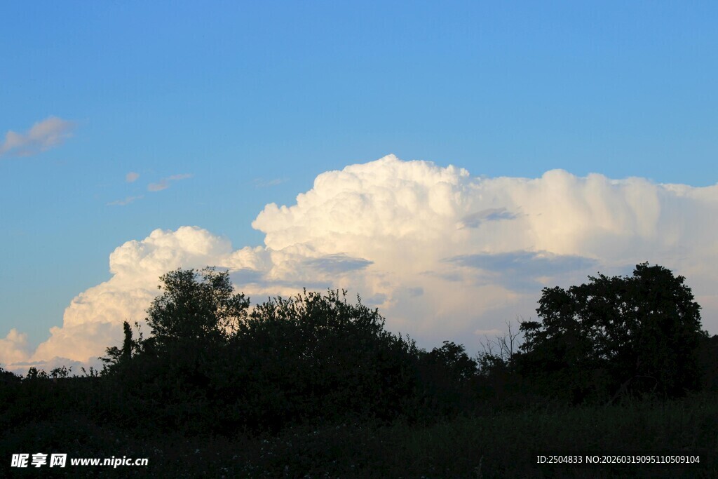 夕阳下的云朵与树林