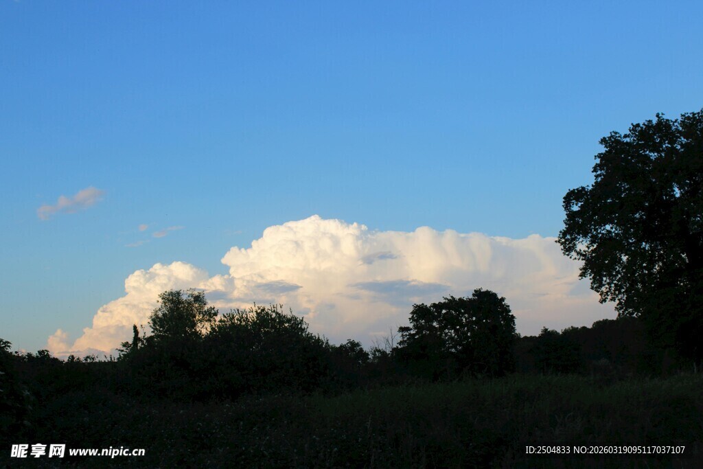 蓝天之下的云朵与树林