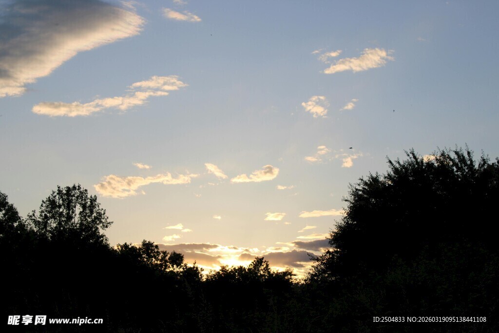 黄昏时分的天空与树木
