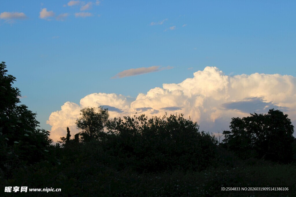 蓝天之下的树林与云朵