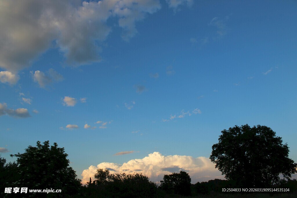 蓝天绿树间的美丽云霞