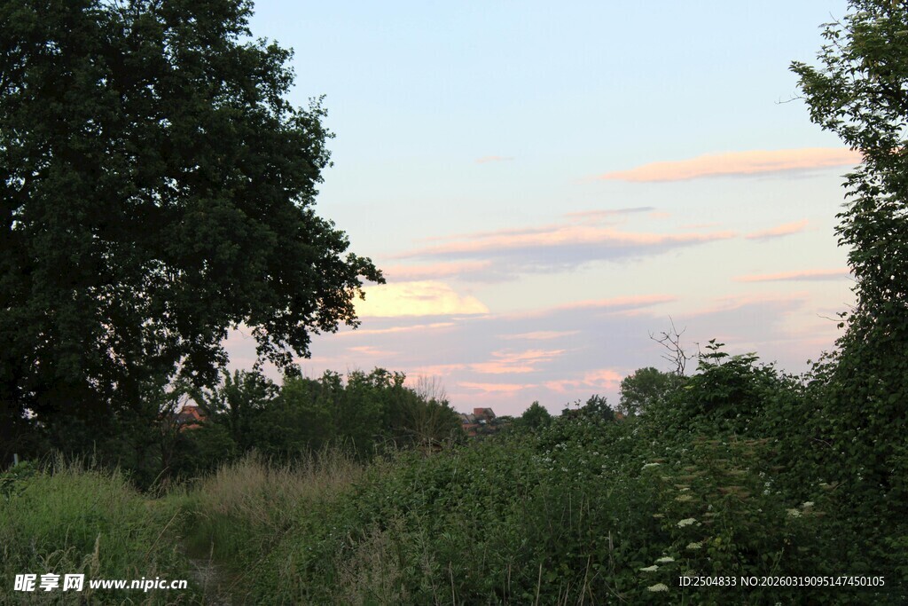 黄昏时分的野外风景