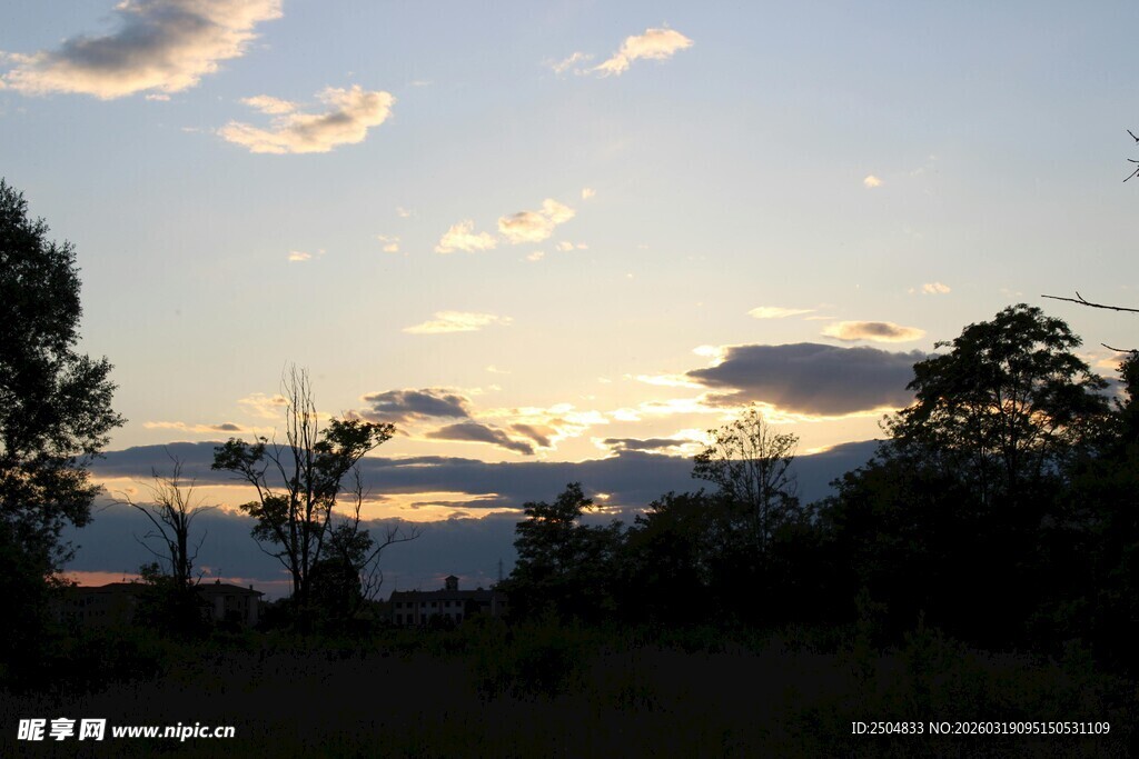 黄昏时分的树林与天空