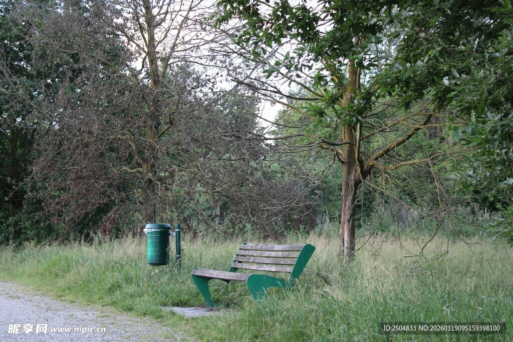 林间小道旁的绿色长椅