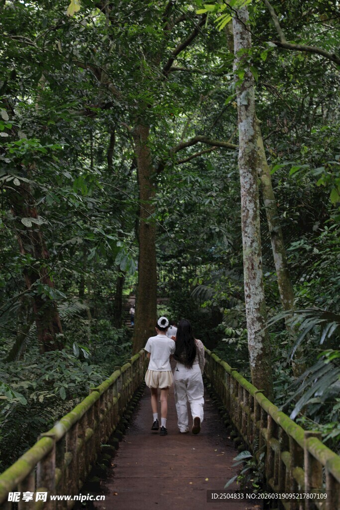 漫步雨林栈道的三人