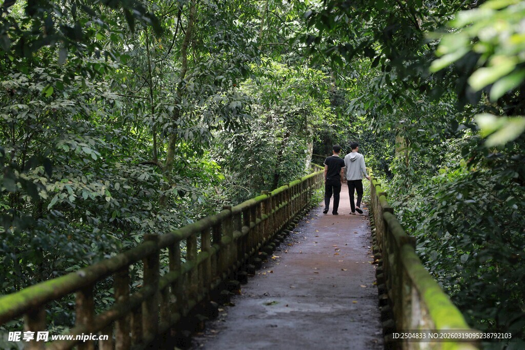 漫步林间木栈道的两人