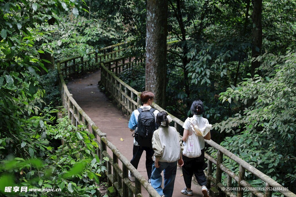 森林栈道上的徒步旅行者