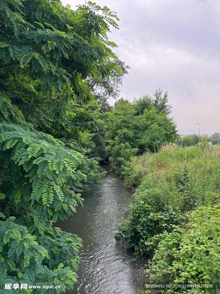 溪边绿意盎然的自然景致