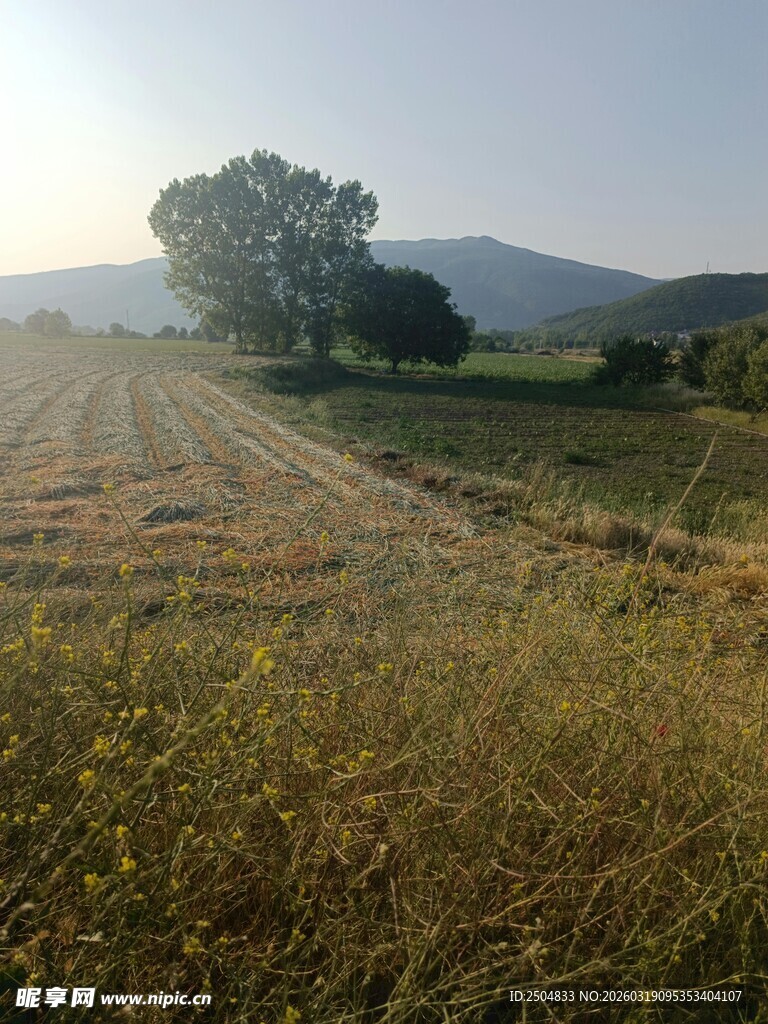 田野风光 静谧的乡村景致