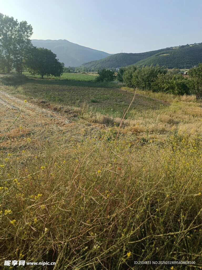 田野田园风光远景图