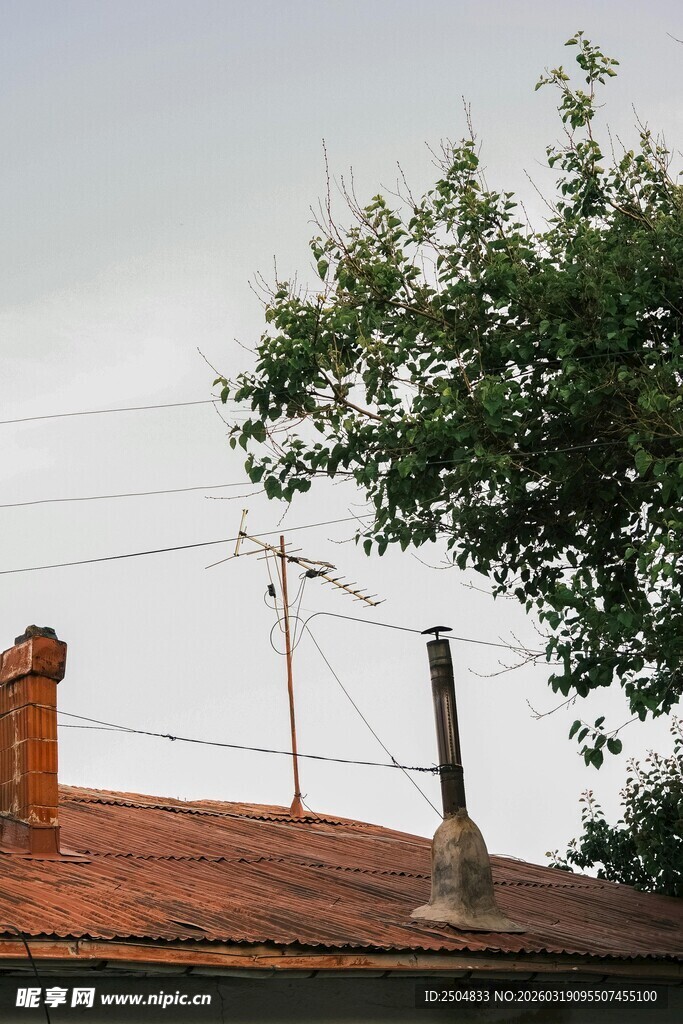 屋顶上的绿植与烟囱
